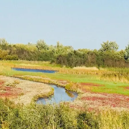 Ferienhof Deichkieker Hedwigenkoog