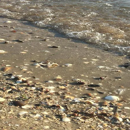 Ferienhof Deichkieker Hedwigenkoog